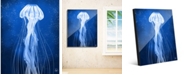 Creative Gallery Glowing Jellyfish on Blue 20" x 24" Acrylic Wall Art Print